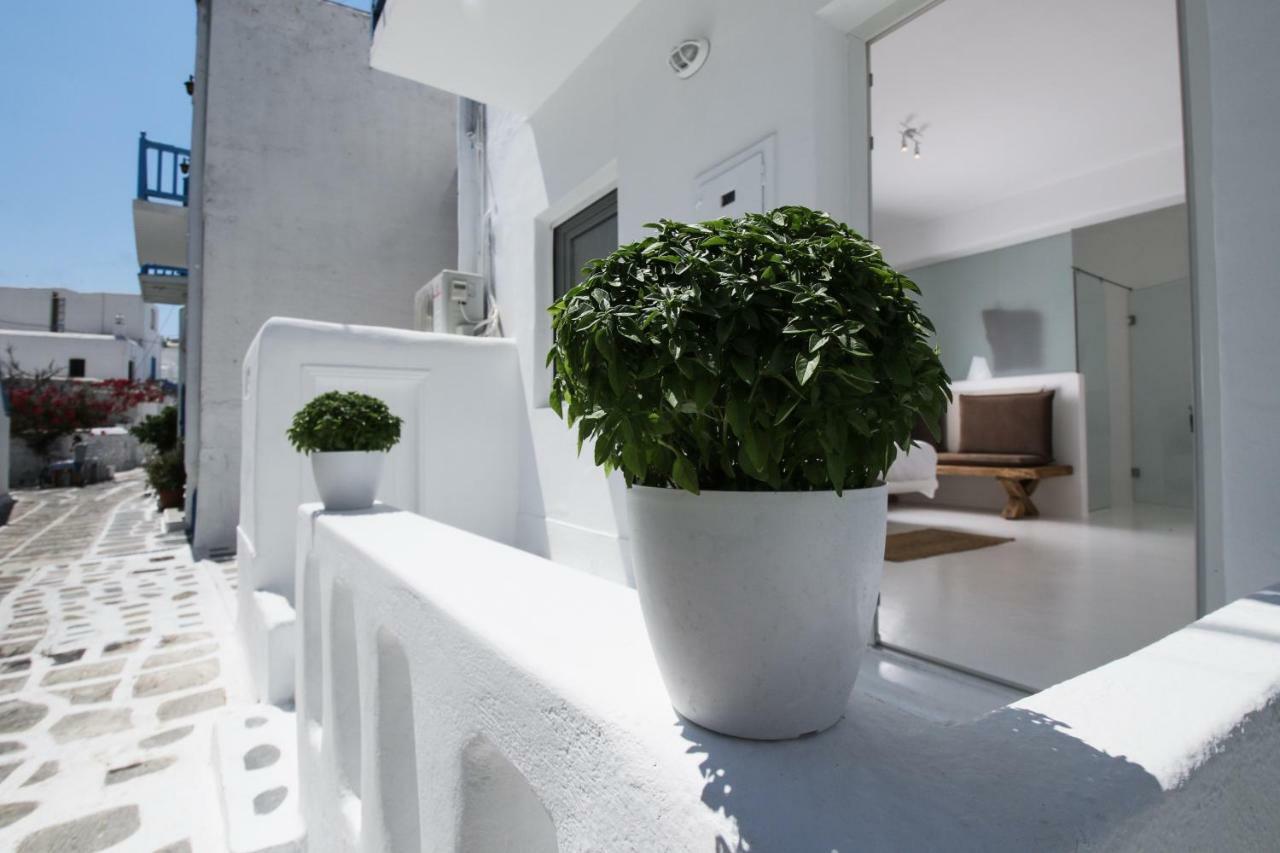 Arktos White Apartments Mykonos Town Exteriör bild